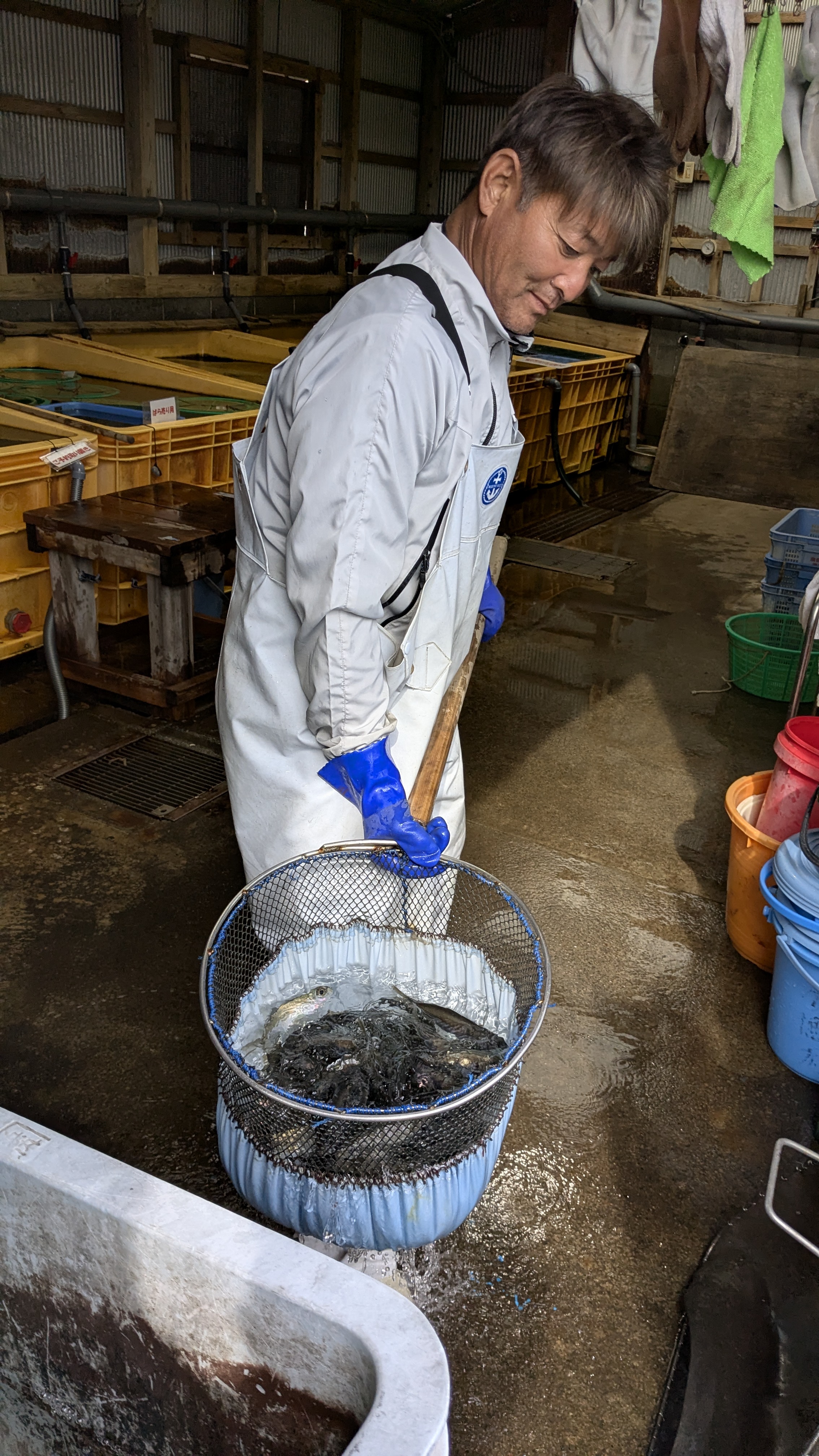 オリジナルネットで海水ごとすくう