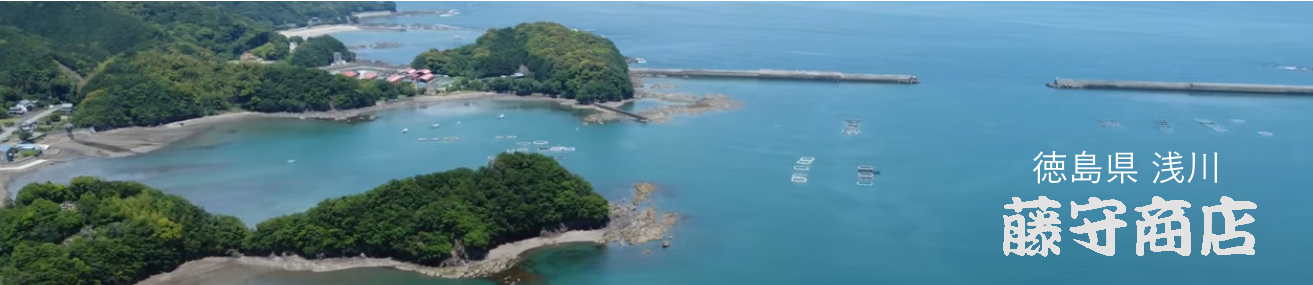 藤守商店